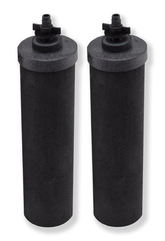 Black Berkey® Elements Replacement Filters (Set of 2)